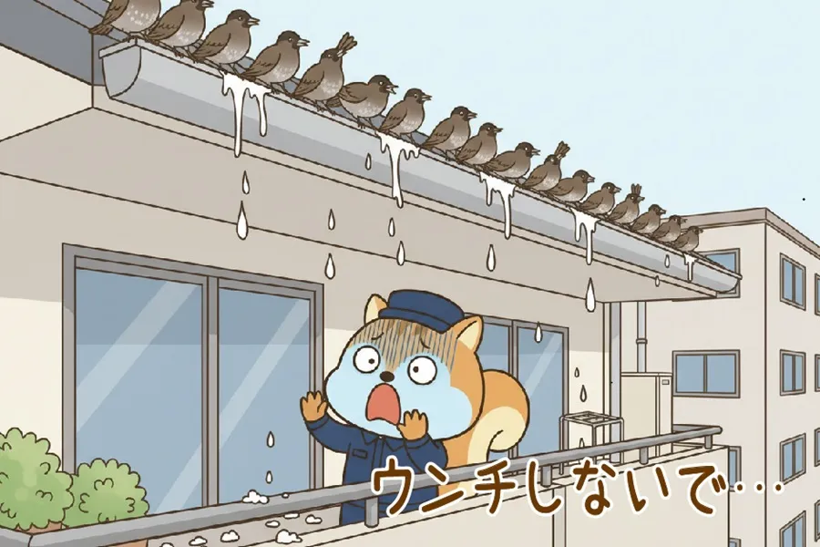 雨どいにならんでフンをしているムクドリを見て青ざめるりす丸のイラスト