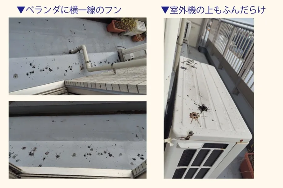 ベランダに散乱している鳥のフンの画像