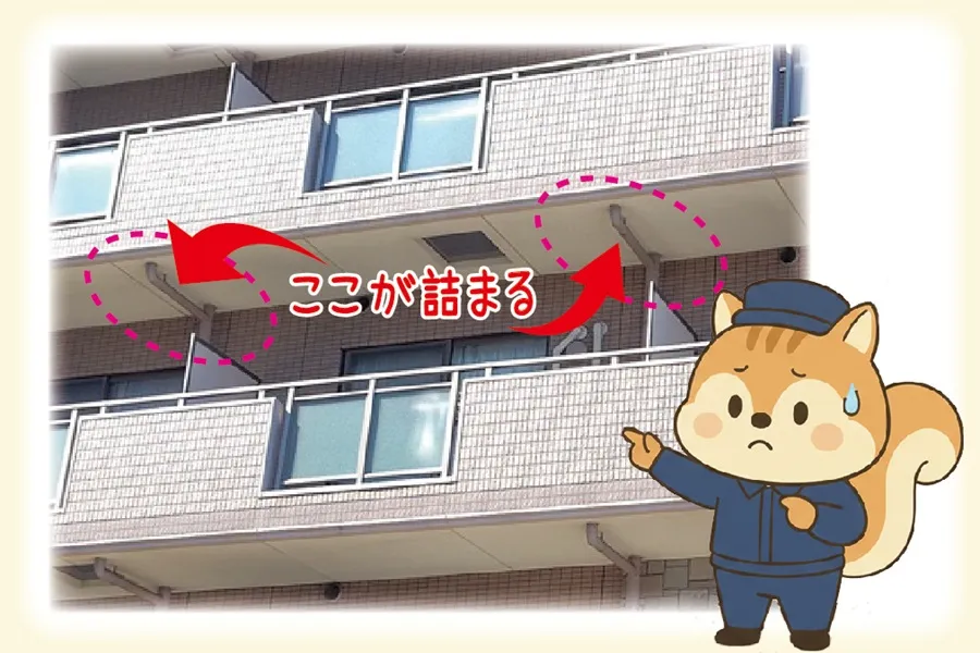 鳥のフンで詰まる排水管の説明をするりす丸のイラスト