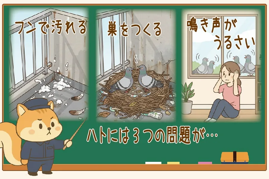 ハトの居座りによる3つの悲哀を解説するりす丸のイラスト